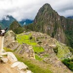 Llama at Machu Picchu