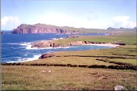 dinglecoast
