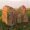 Sacred sites Sweden tour