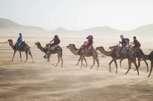 tourists riding camels in desert