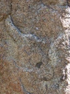 Taurus Bull stone at Montana Megaliths