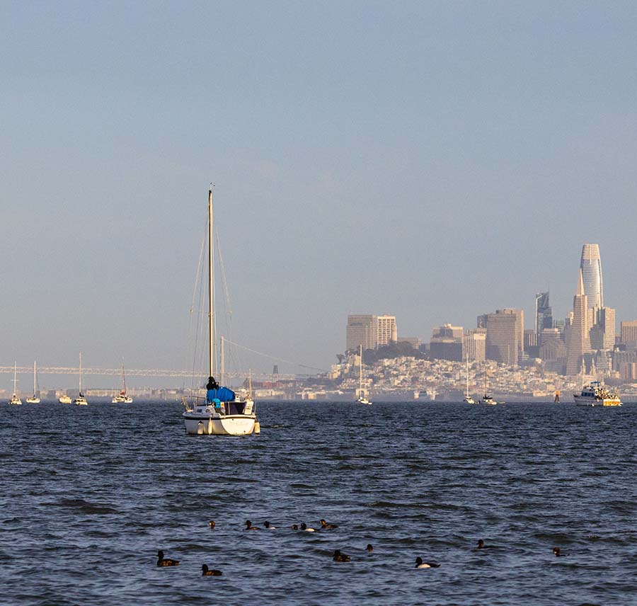 a boat with a view of San Francisco buildings behind it